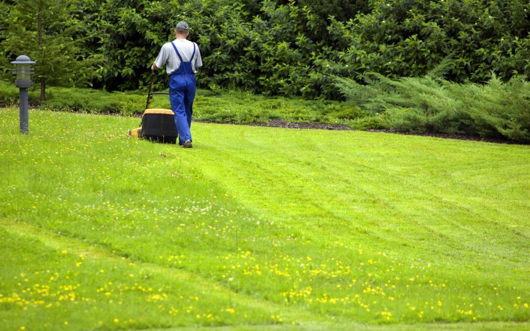 Entretien d'espaces verts à Forbach